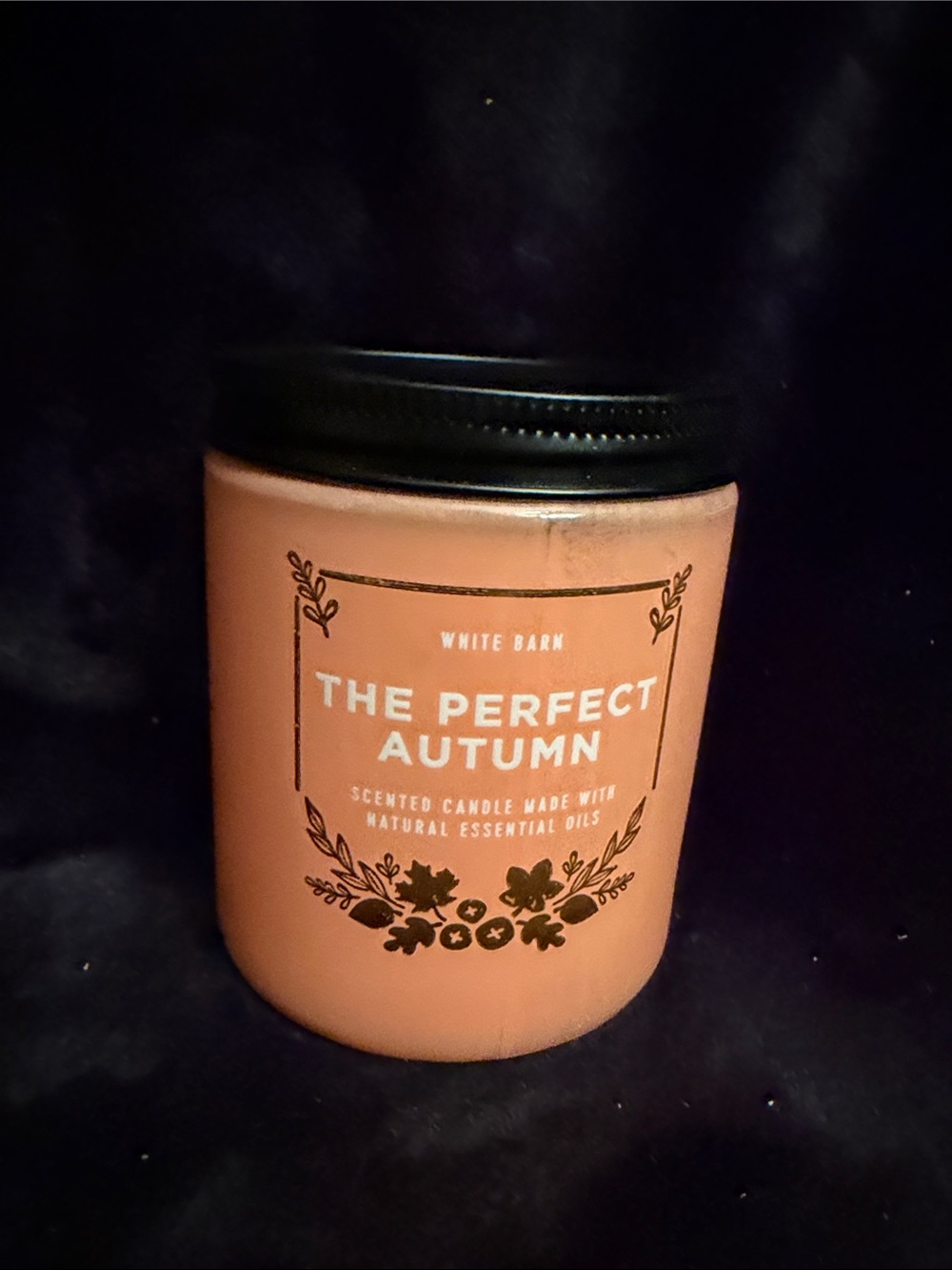White Barn The Perfect Autumn Scented Jar Candle - Peach